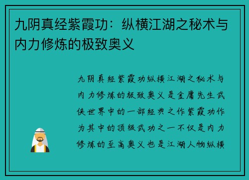 九阴真经紫霞功：纵横江湖之秘术与内力修炼的极致奥义