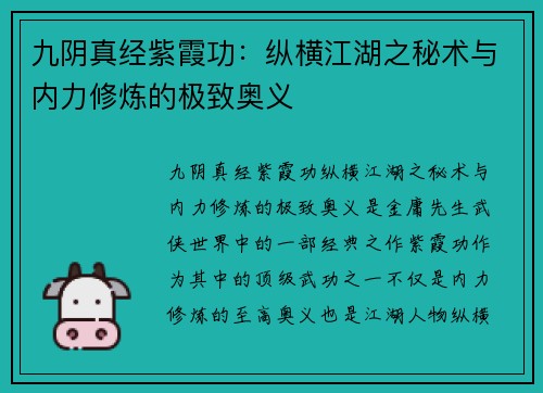 九阴真经紫霞功：纵横江湖之秘术与内力修炼的极致奥义